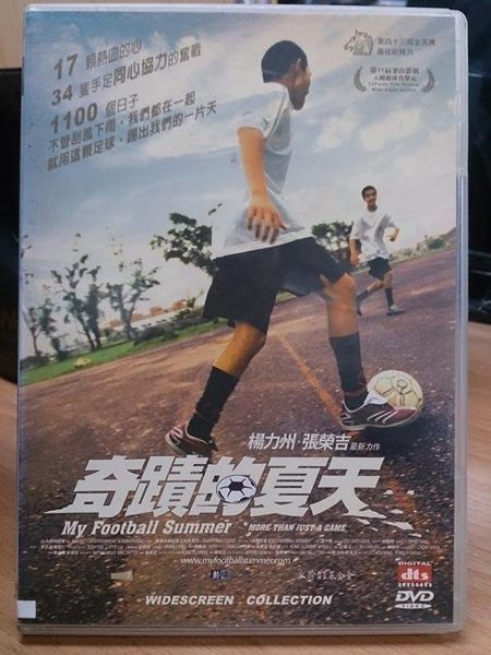 挖寶二手片-Y53-010-正版DVD-華語【奇蹟的夏天】-熱情團結 最感動 2006最具動力的足球紀錄片
