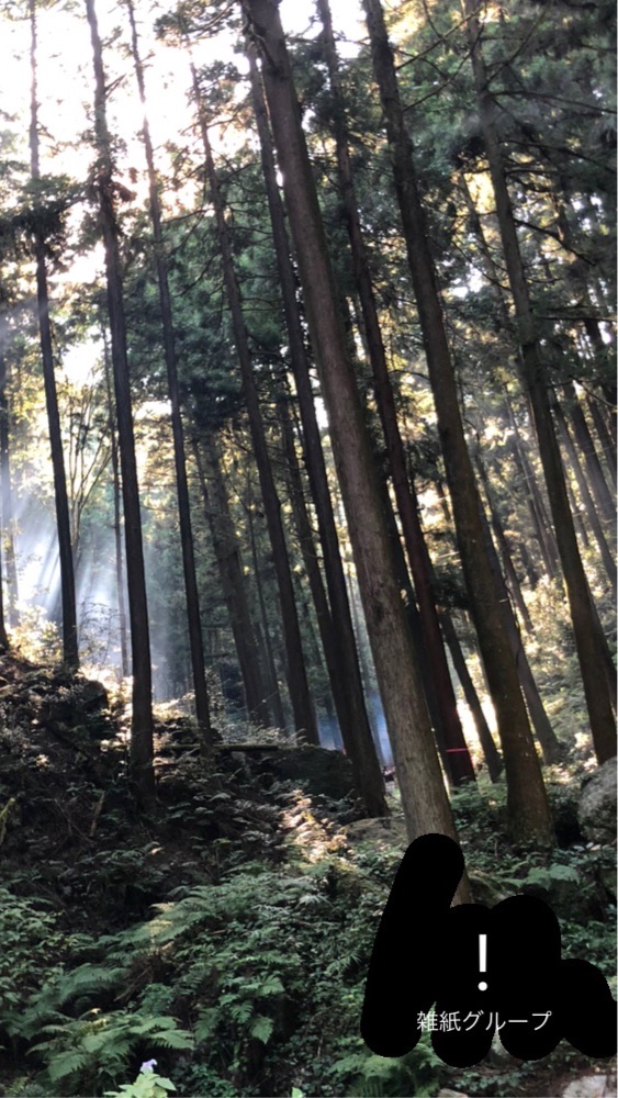 雑紙自治区