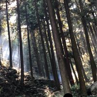 雑紙自治区
