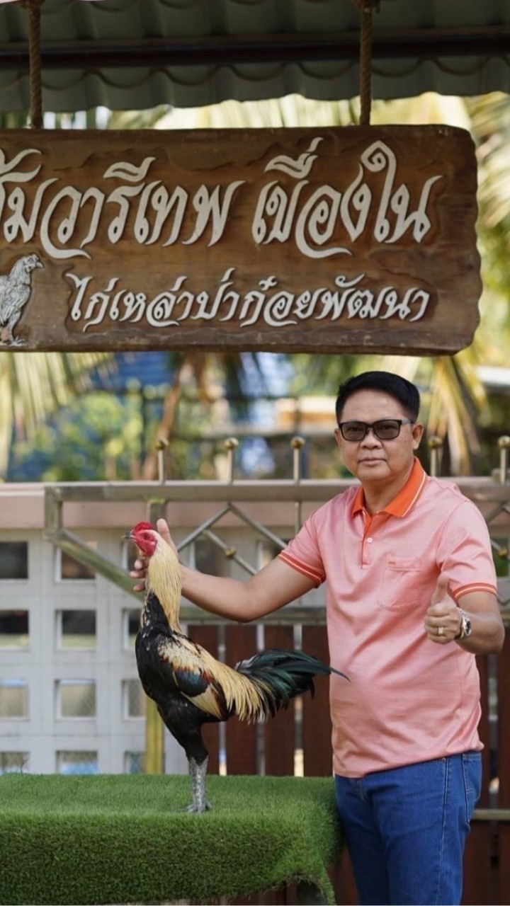 ซุ้มวารีเทพสายพันธุ์เงินล้าน 🐓🐓