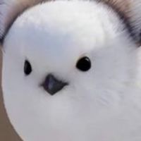 長尾山雀