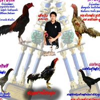 ซุ้มว.พิทักษ์ชัย