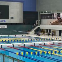 🏊‍♂️スイマーの部屋🏊‍♂️