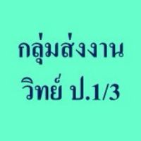 กลุ่มส่งงาน วิทย์ ป.1/3