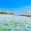 ジャニーズ×芸能人