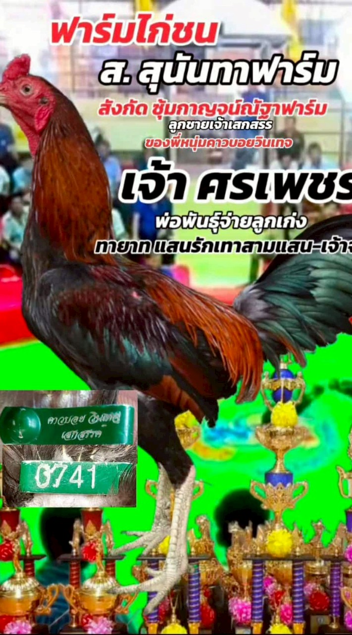 ส.สุนันทาฟร์าม  ราชบุรี