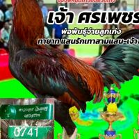 ส.สุนันทาฟร์าม  ราชบุรี