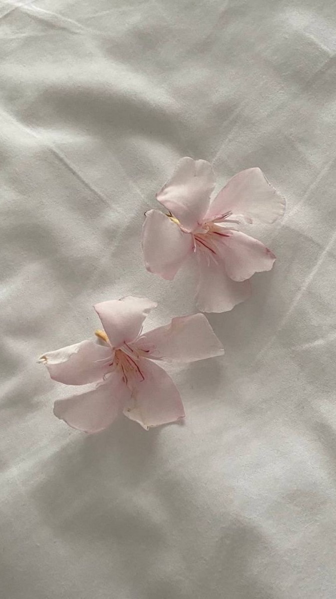 ‎ᱸ ♥  ֯   ╺ ݁⠀แจกคลิปเมจ 𓈒⠀รูป⠀ ༷⠀ ཾ⠀ೕ