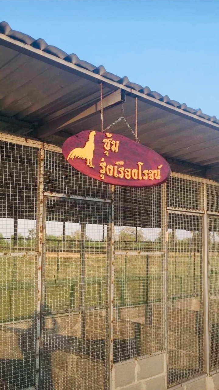 ชมรมคัดไก่ รุ่งเรืองโรจน์