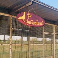 ชมรมคัดไก่ รุ่งเรืองโรจน์