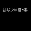 排球少年語c群（對戲）