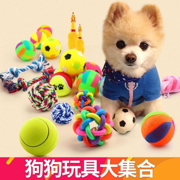 小型犬狗狗玩具用品耐咬尖慘叫雞寵物玩具