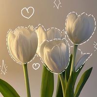 Grow a garden