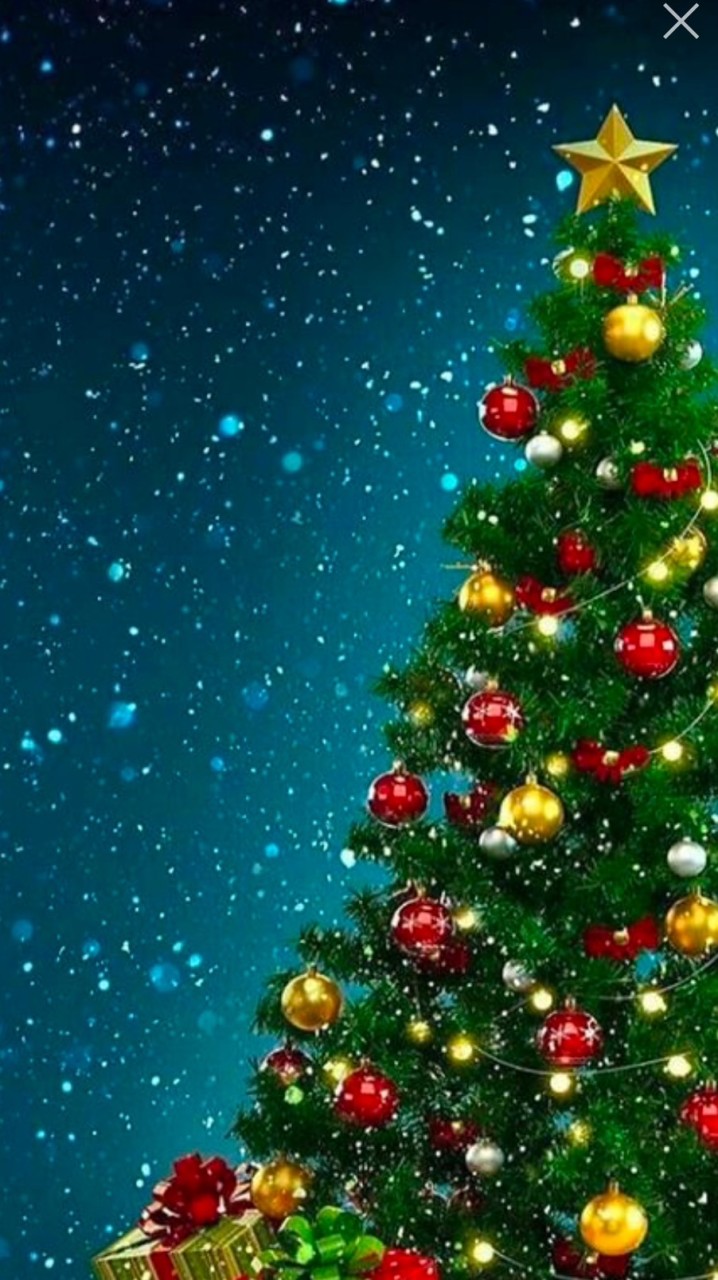 🎄町田キャンパス　クリスマス会実行委員🎄