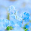 中央書道連盟⭐︎事務局