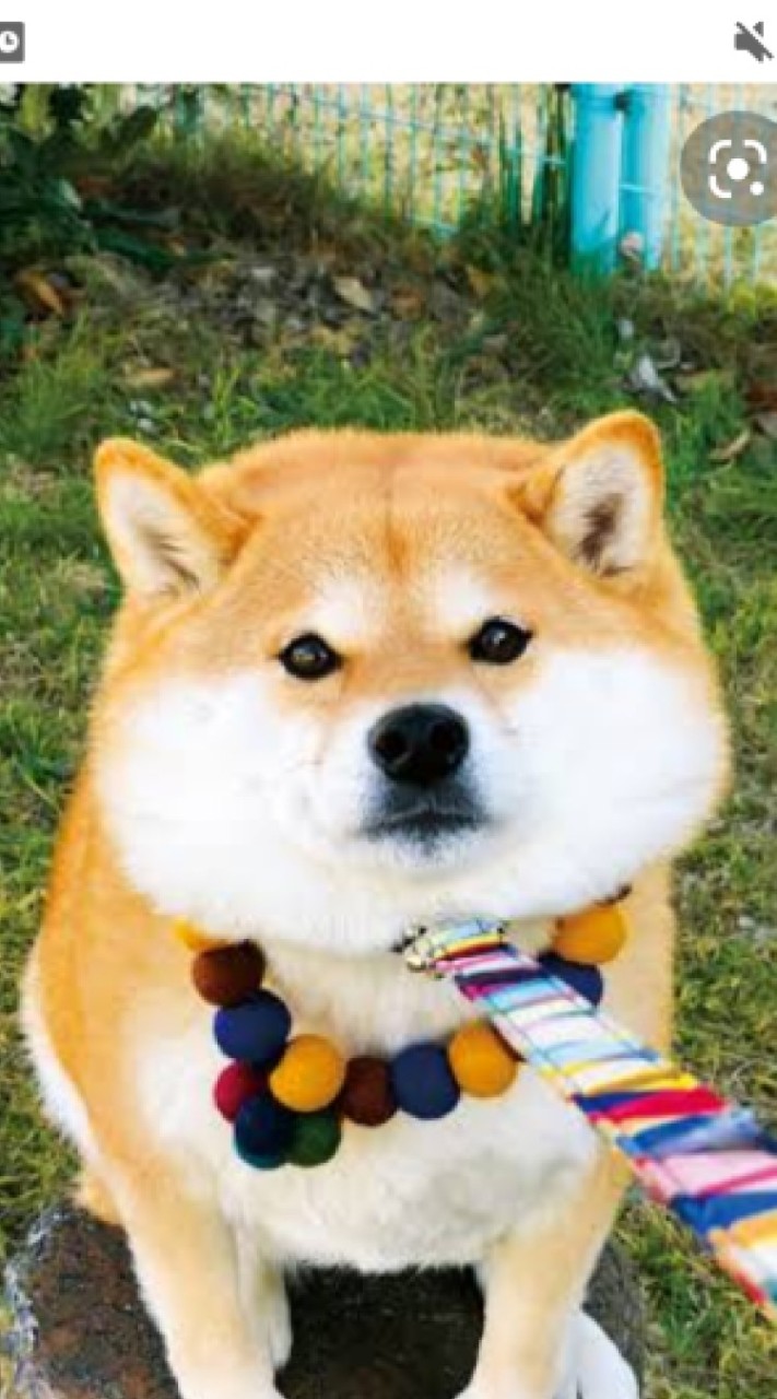 記録ノ地平線