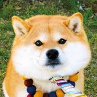記録ノ地平線