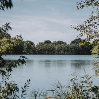 中麗家族