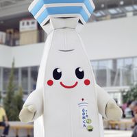 ＧＯ太くんの部屋【五稜郭タワー公式】