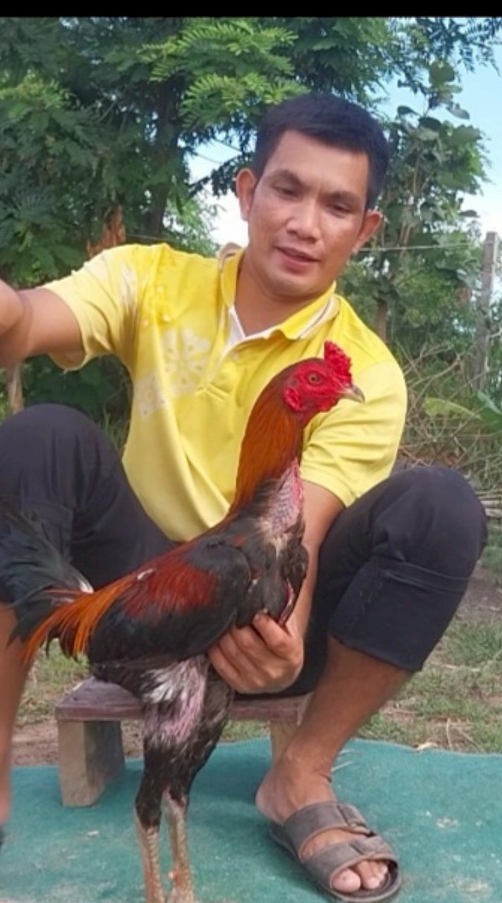 ศศิฉายฟาร์ม