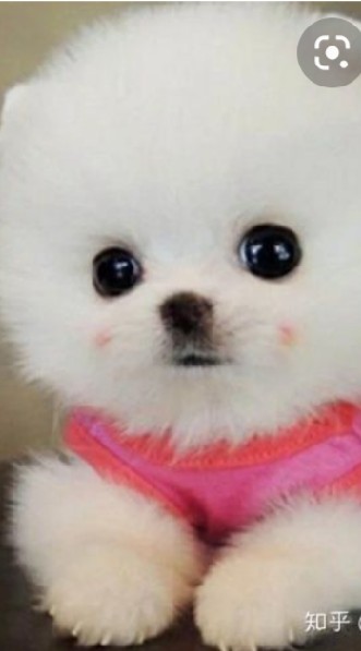 聊天群