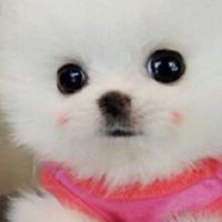 聊天群