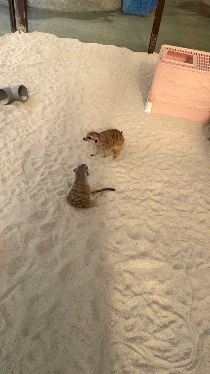 秀恩愛😍😍