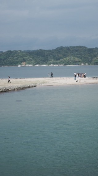 PICK CHILL🪐11/24-11/28日本代購