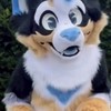 furry opc!!>_<