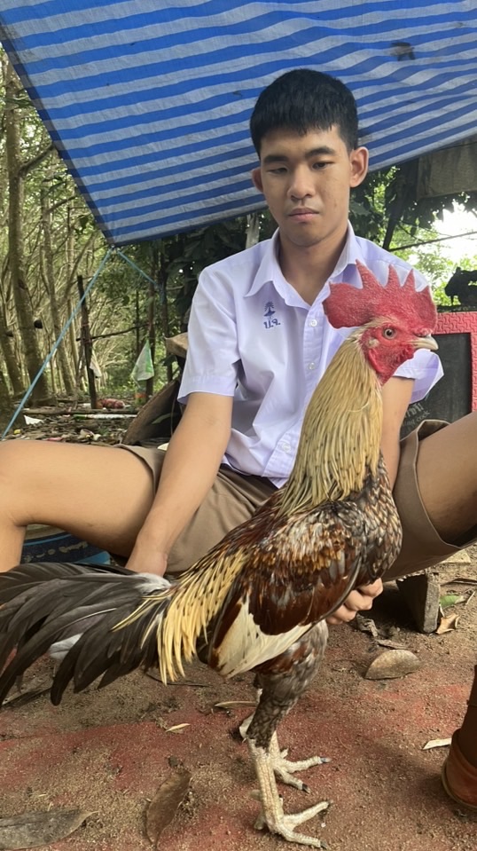 ซุ้ม ส.มหาทรัพย์ จันทบุรี 🐓