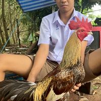 ซุ้ม ส.มหาทรัพย์ จันทบุรี 🐓