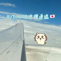 Chih代購✈️