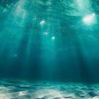 樂樂童年Dolphin家長群