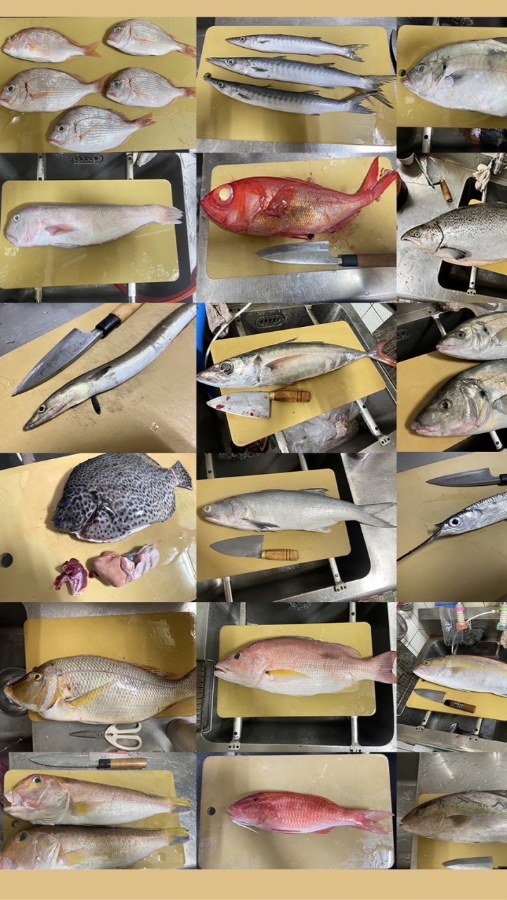 跟著老闆吃生魚片-頭份自取
