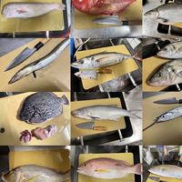 跟著老闆吃生魚片-頭份自取