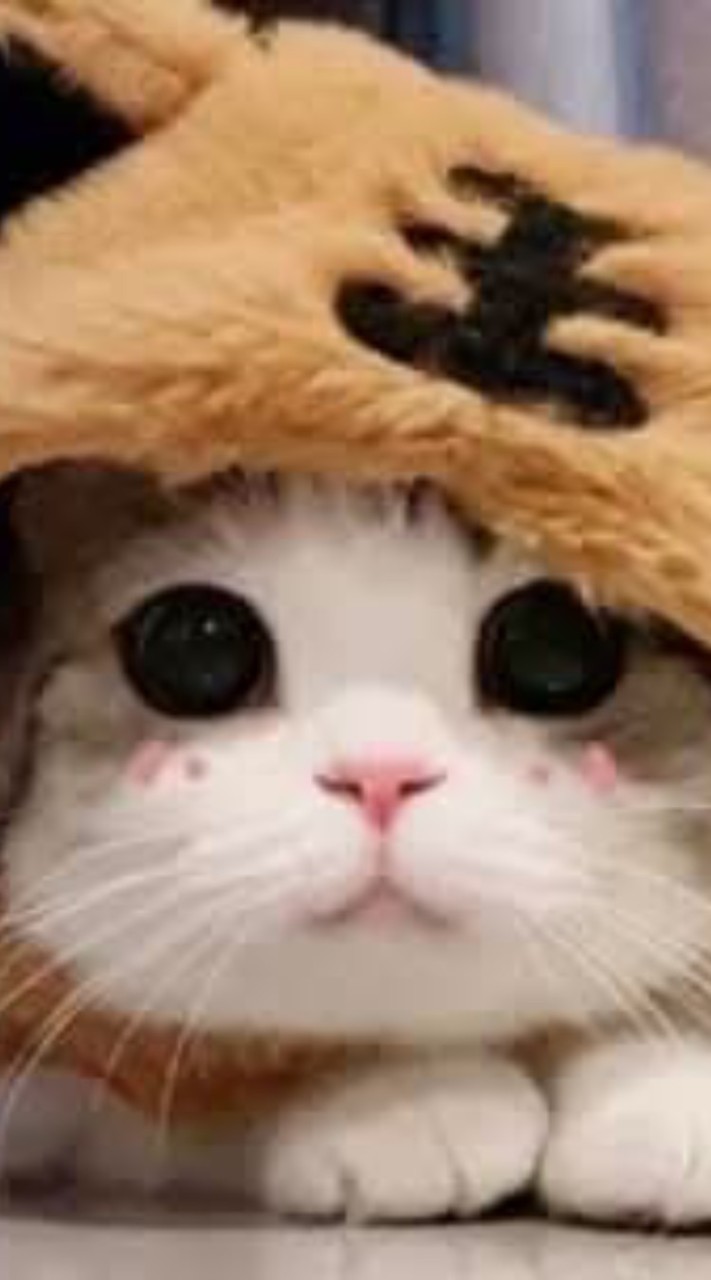 ❤享受新生活❤