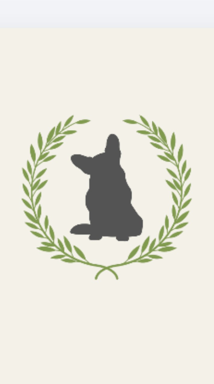 コーギーミックスオフ会