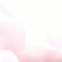 🌹お嬢様313
