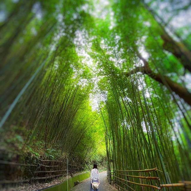 圖片來源：IG @fang_0712_