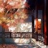 【驪宮漫舞紅滿階】宮廷對戲