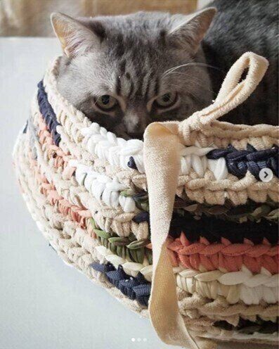 販売販売好調 カラリ脱臭珪藻土猫ハウス手作り模様で猫ちゃんも飼い主も 猫用品 Jctaxman Com