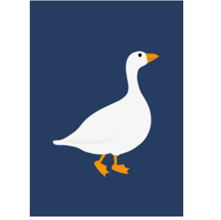 Dwarf goose! so cute