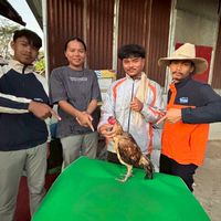 ซุ้มอีสานภูภร🦅🦅