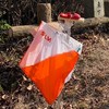 広島大学OLC新歓2025