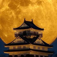 DaiちゃN🏯🌙【ライバー】