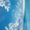 君は綺麗だ 。