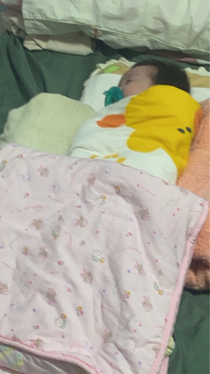 蚵寶家族