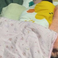 蚵寶家族