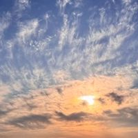 與光同行🐾團購｜代購