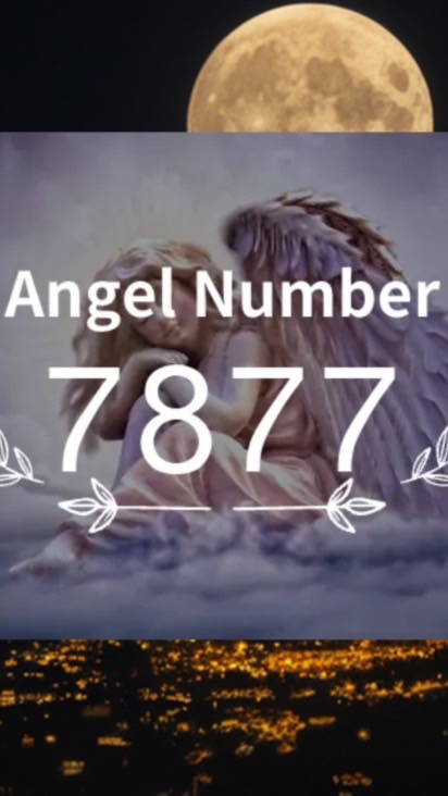 7877 Club